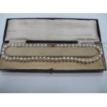 A Modern Fresh Water Pearl Bead Necklace, of uniform design, knotted to ball clasp stamped "375", in
