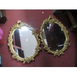 A Pair of XX Century Gilt Rococo Style Mirrors, with 'C' scroll and foliage decoration.