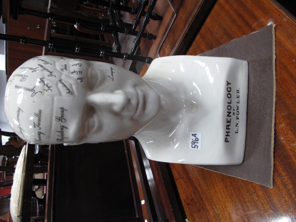 A Large Modern Phrenology Head, printed L. N. Fowler, height 43cm.