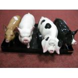 Four Beswick Pigs - Gloucester Old Spot Sow, Berkshire Pig, Middlewhite Boar, Tamworth Brown Pig. (