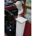 A XIX Century Style Classical Composition Bust of a Lady, on a pedestal.