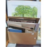 A Quantity of Unframed Watercolours, to include Barbara Fox of Woodward, P. Jones, H. Moye, Dennis