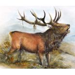 Norman Orr (Scottish 1924-1993) 'Red Stag' Watercolour, signed Orr/'70 lower right,