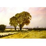 D Melrose (Contemporary) 'Autumn Fields' Watercolour, signed lower right, dated 2000 verso,