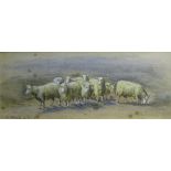 David Gourlay Steell ARSA (1819-1894) 'Sheep' Watercolour, signed lower left,