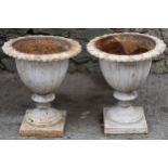 PAIR OF NINETEENTH-CENTURY CAST IRON URNS each of flower head form 52 cm. high; 44 cm. diameter (2)