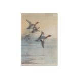 ARCHIBALD THORBURNDucks in flight Print Signed and dated 1921 Published 1922 by W. F. Embleton 70