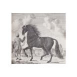 EIGHTEENTH CENTURY EQUINE PRINT Horse and Nubian handler Provenance: The Robinson Collection 46 x 49