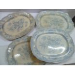 Asiatic pheasant meat plates (4)
