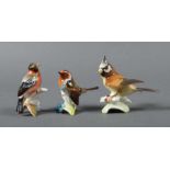 3 kleine Vogelfiguren Hutschenreuther, Selb, nach 1970, Porzellan, polychrom auf- und