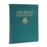 Blossfeldt, Karl Urformen der Kunst, Photographische Pflanzenbilder, Berlin, Ernst Wasmuth, 1929,