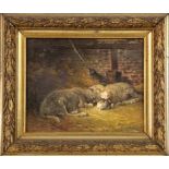 ROBERT, G. Französischer Maler 1903 2 Schafe im Stall. Öl/Lwd., signiert und datiert. 22x27cm, Ra.