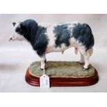 A Border Fine Arts model of a Belgian Blue Bull by Jack Crewdson, number B0833, limited edition