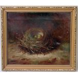 Abel Hold (1815-1895), Nest of Eggs by a Mossy Bank, oil on canvas, signed lower right A. Hold, 24cm