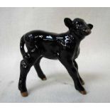 A Beswick pottery animal model of an Aberdeen Angus Calf, model number 1406A