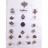 A Gloucestershire Regiment Egypt cap badge, an HMS Ark Royal pin badge and 19 other various badges