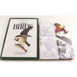 Drawn from Paradise Birds of Paradise by David Attenburgh and Errol Fuller together with Audubon's