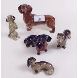 A collection of five dachshunds