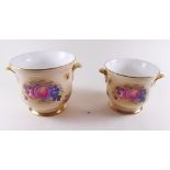 Two Crown Staffordshire jardinieres printed fruit and six Royal Worcester ramekin dishes
