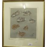 A framed group of sketches of a kitten - 27 x 23cm, signed DA 21st Aug '83