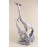A Lladro style group of giraffes - with restored ear