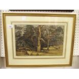 Elizabeth Armsden - etching 'Grazing Roe Deer, Moreton Woods' 1936 - 22 x 34cm