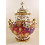 A large Royal Worcester pot pourri vase painted Still Life fruit and signed by Freeman No 1428 (good