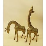 A pair of large brass giraffes - 67cm