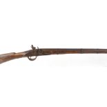 .700 flintlock musket, 31 ins fullstocked steel banded barrel with ramrod, steel lock and