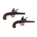 A pair of 54 bore flintlock pocket pistols by Willmore London, each with 2,1/4 ins barrels, scroll