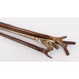 Five hazel and stag horn shooting sticks