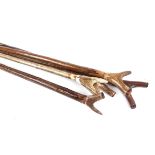 Five hazel and stag horn shooting sticks