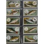 Cigarette & Trade Cards, Fish, a selection of sets to include Wills's Fish & Bait, Player's Fishes
