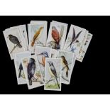 Cigarette Cards, Animals & Birds, complete sets to include Carreras Birds of the Countryside (vg),