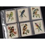 Cigarette Silks, Birds, Morris & Sons English and Foreign Birds, complete set of silks (25, gd/vg)