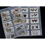 Cigarette Cards, Birds, Player's 4 complete sets to include Games Birds & Wild Fowl, Poultry,