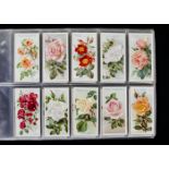 Cigarette Cards, Flowers, a selection of Will's sets to include Roses A Series, 2nd Series and