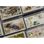 Cigarette Cards, Nature, Player's sets to include Game Birds & Wild Fowl, Wild Birds, Animals of the