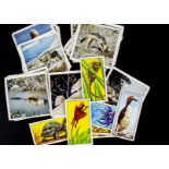 Trade Cards, Barrett/Bassett Barrett, a mixture of part sets to include Living Creatures of Our