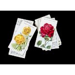 Cigarette Cards, Floral, various sets by Will's to include Roses A, 2nd and Different Series, and