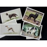 Cigarette Cards, Dogs, a selection of sets to include Will's sets, Dogs A and 2nd Series (L Size),