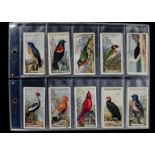 Cigarette Cards, Birds, sets by a variety of manufacturers to include Players Poultry, Curious Beaks