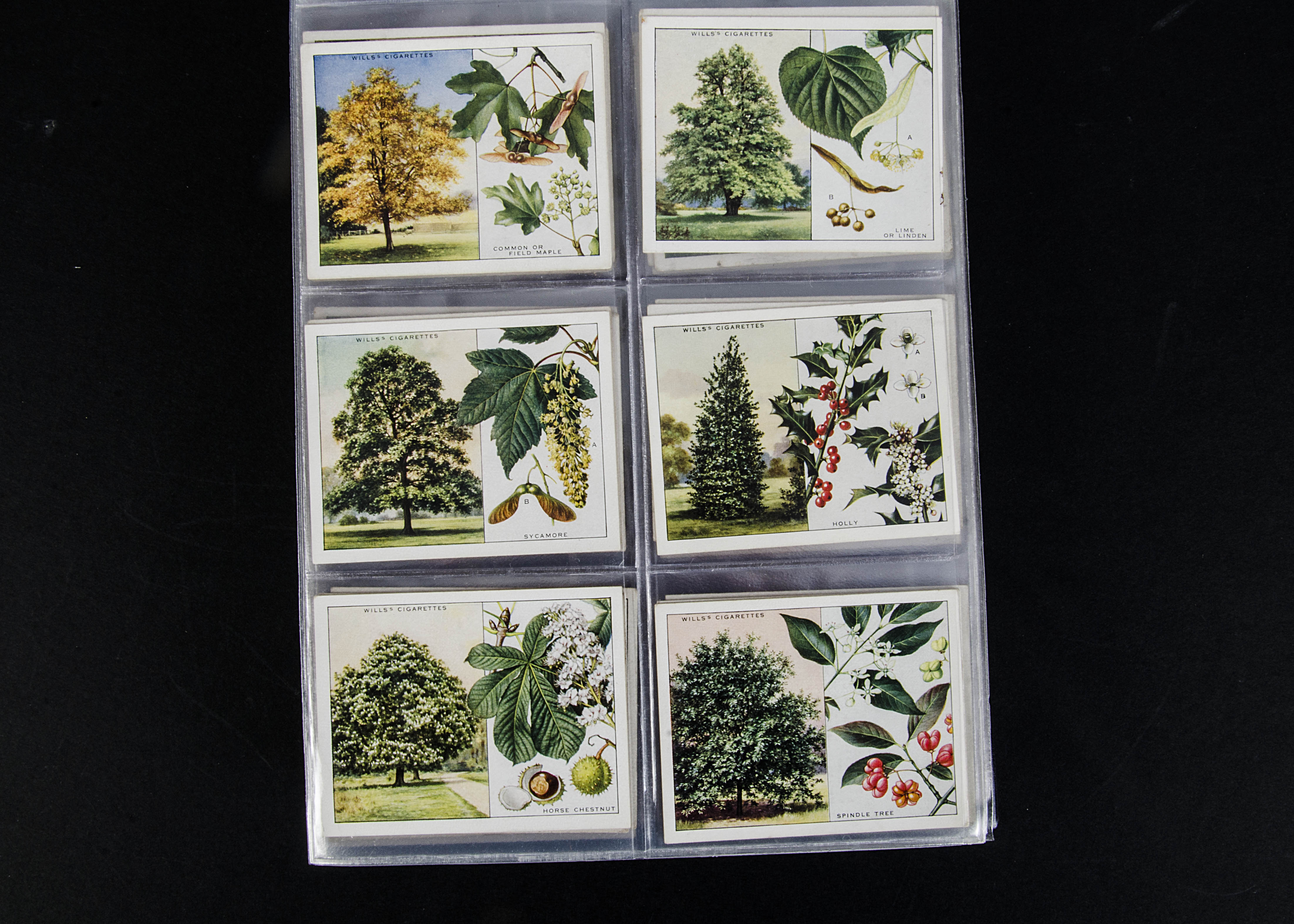 Cigarette Cards, Flowers, a modern album containing a large collection of sets by Wills to name