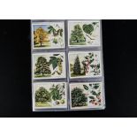 Cigarette Cards, Flowers, a modern album containing a large collection of sets by Wills to name