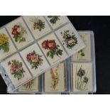 Foreign Cigarette Silks, Flowers, 2 sets, BAT, Australian Wild Flowers (L50), (gen gd, a few