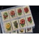 Foreign Cigarette Silks, Flowers, Will's Australian Popular Flowers, complete set of Large