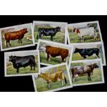 Cigarette Cards, Animals, Player's British Livestock (X size, brown back) and Types of Horses (L