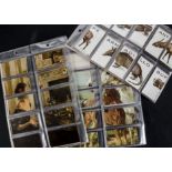 Cigarette Cards, Sectional, a collection of complete Wills sets to include The Toast, Animalloys,