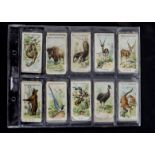 Cigarette Cards, Nature, sets by Wills' to include Animals and Birds (fair, staining and cut corners