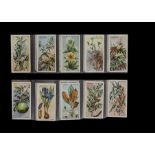 Cigarette Cards, Nature, two sets by Players, Useful Plants & Fruits and Wonders of the Deep (50,